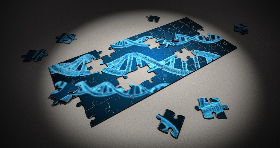 A puzzle with a DNA double helix structure
