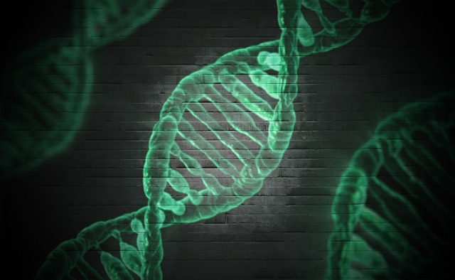 A DNA helix