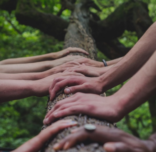 tree-hands-people