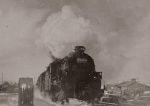 Old photograph being used for family history DNA analysis 