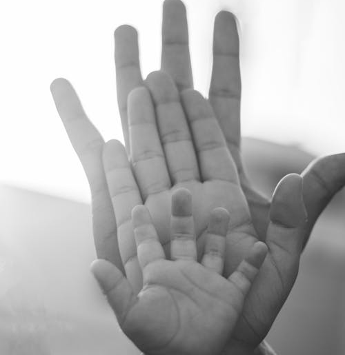 lineage-bonding-hands